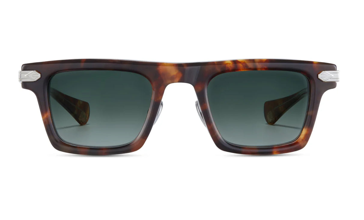 T Henri Stingray tortoise