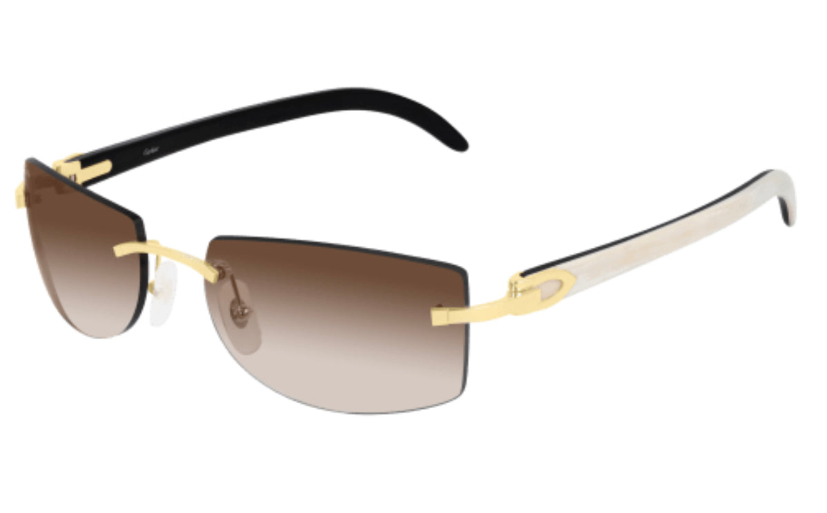 Cartier CT0017RS-001