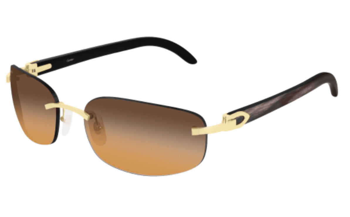 Cartier CT0020RS-001