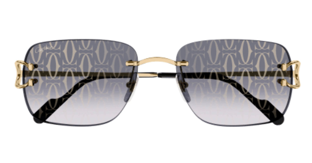 Cartier CT0330S-008