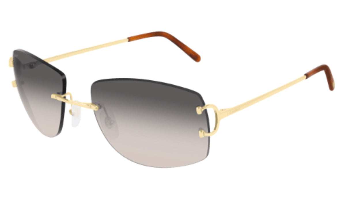 Cartier CT0008RS-001