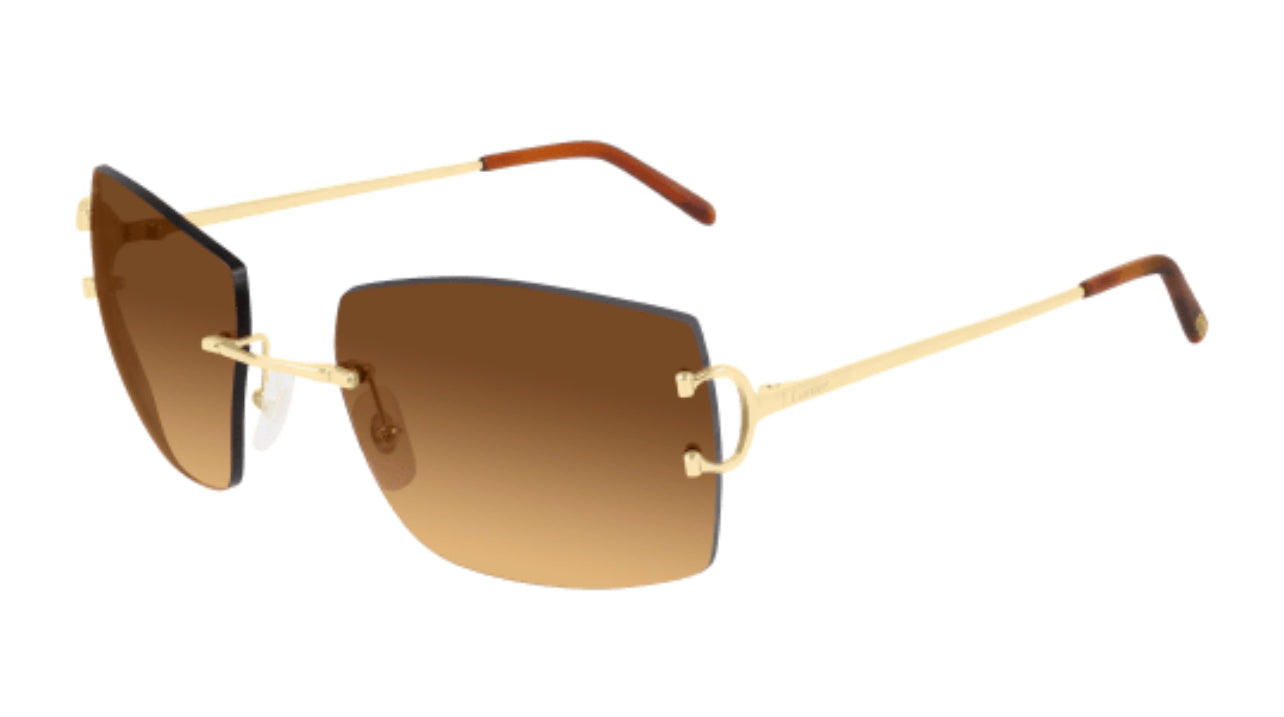 Cartier CT0009RS-001