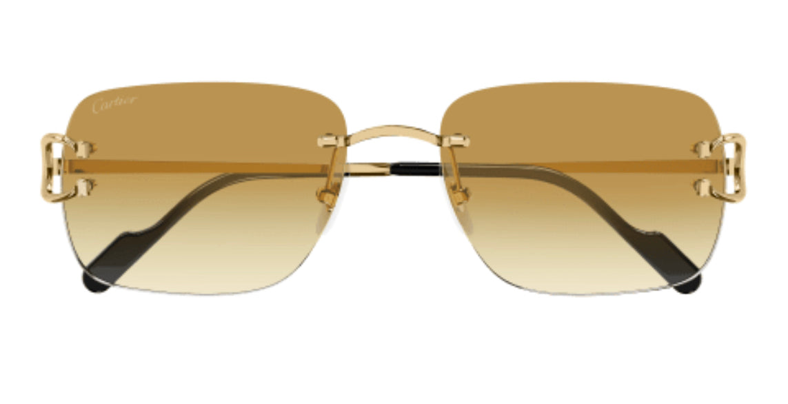 Cartier CT0330S-003