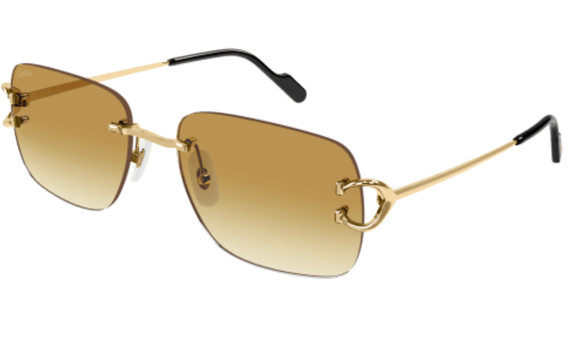 Cartier CT0330S-003