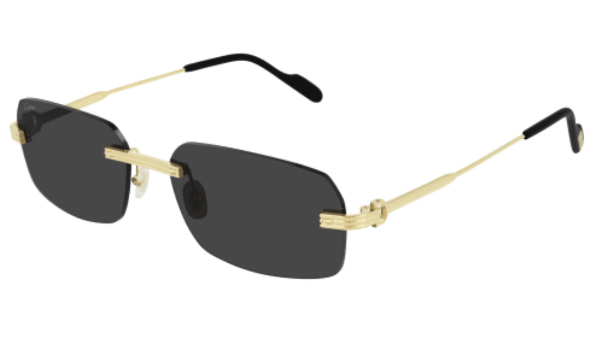 Cartier CT0271S-001