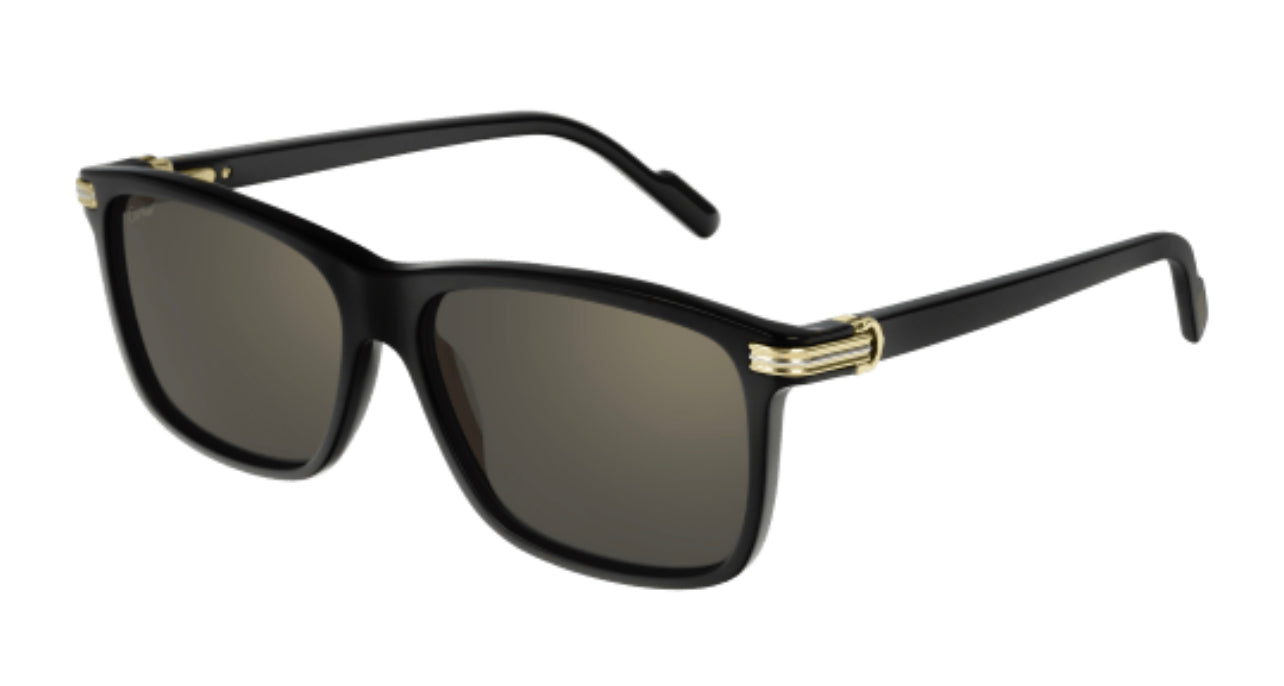Cartier CT0160S-001