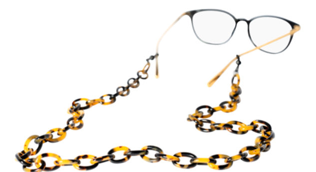 Diane Taylor Tortoise Acetate Link